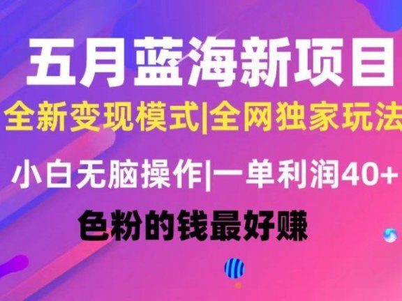 五月蓝海项目全新玩法，小白无脑操作，一天几分钟，矩阵操作，月入4万+