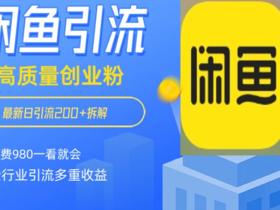 闲鱼 如何做到日引流 200+ 高 质 量 创业 粉付 费 980 拆解全 赛 道粉 丝 一看就会