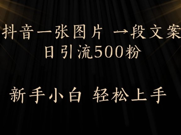 抖音一张图片，一段文案日引流500粉，新手小白 轻松上手